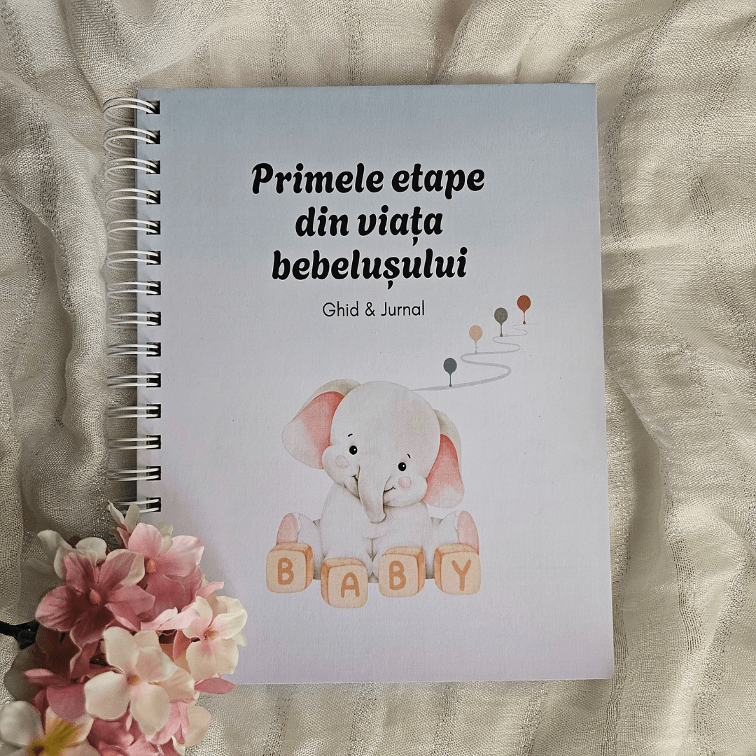 Primele etape din viața bebelușului - Lexys Space