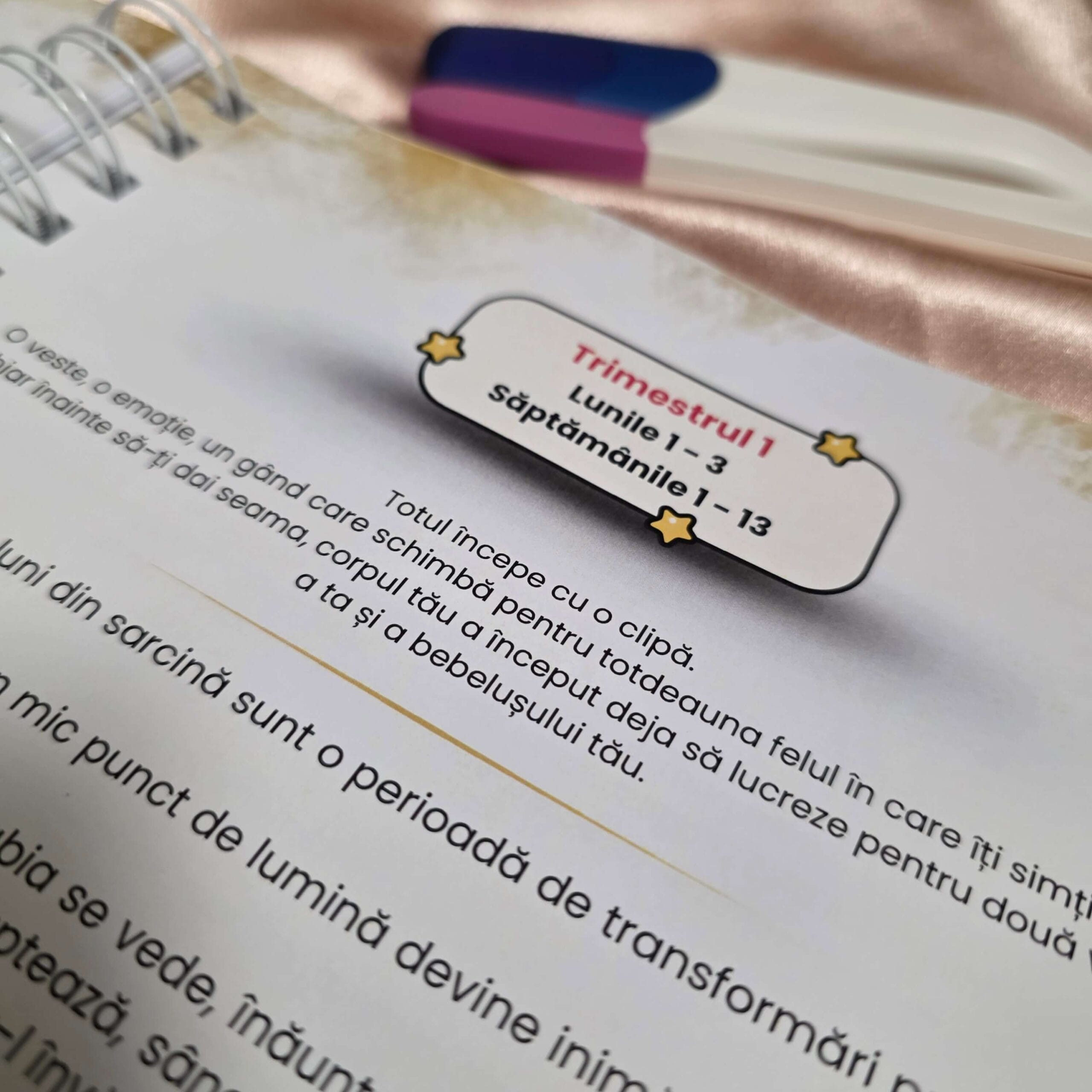 Jurnal pentru sarcină & Jurnalul bebelușului „Două inimi, aceeași poveste” - imagine 6