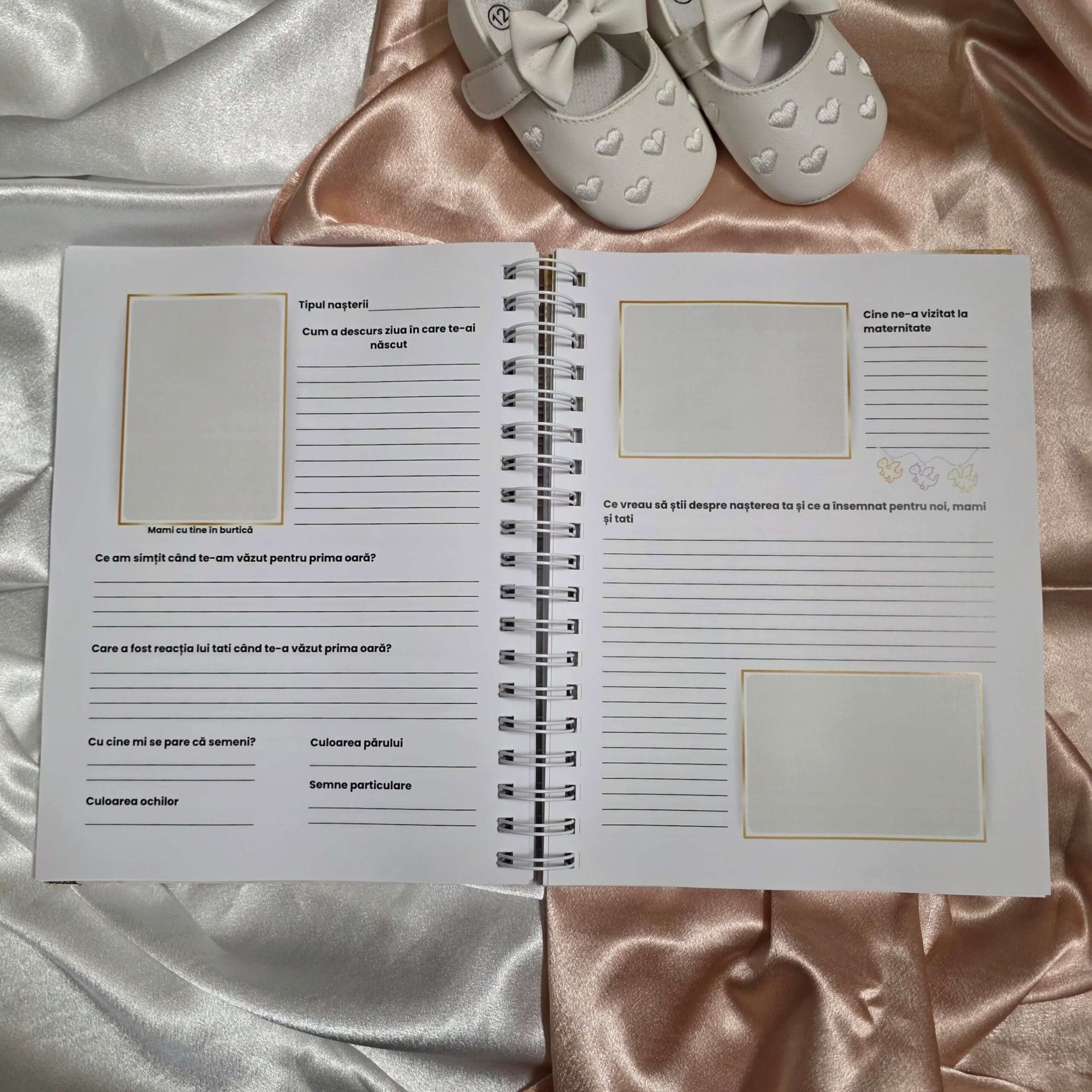 Jurnal pentru sarcină & Jurnalul bebelușului „Două inimi, aceeași poveste” - imagine 9