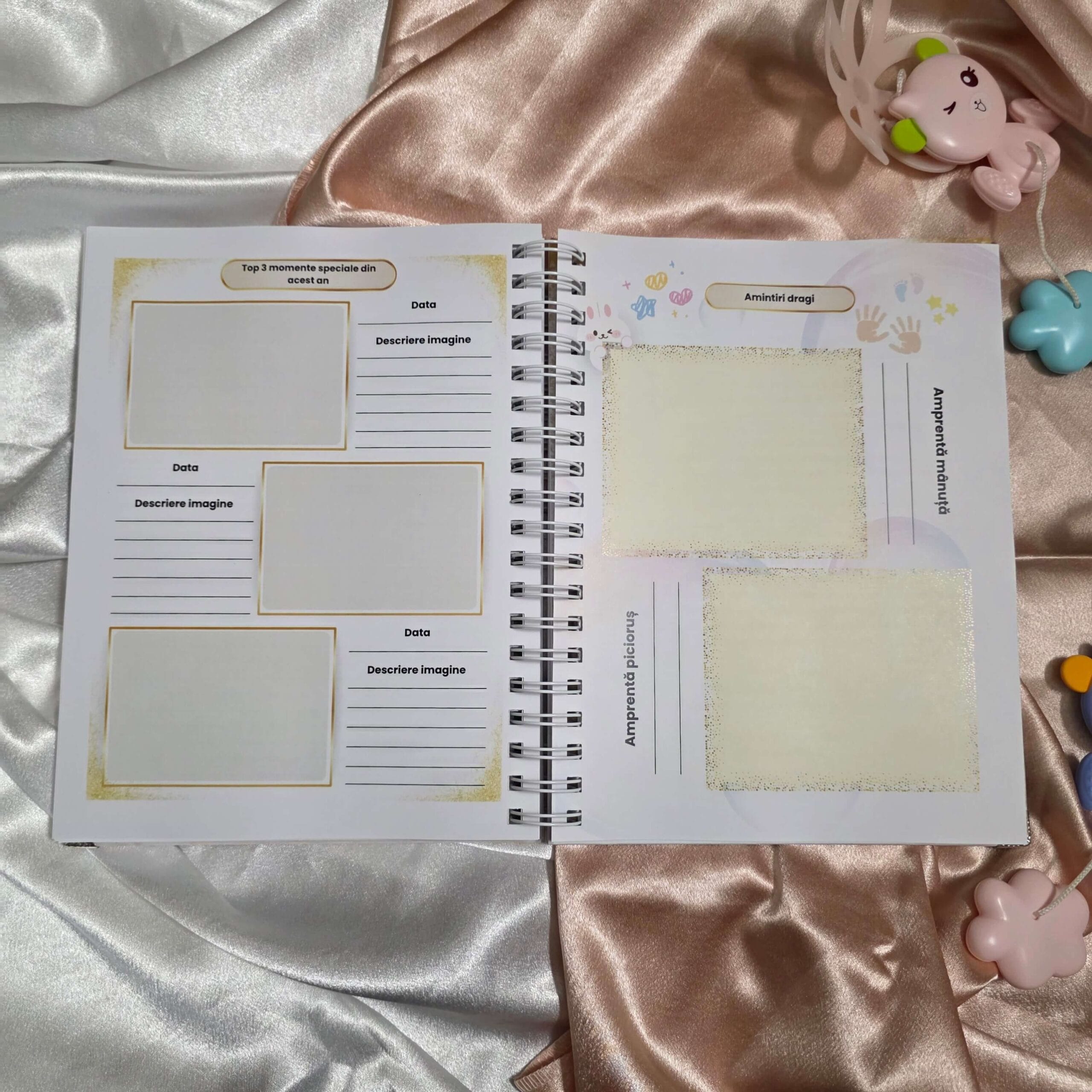 Jurnal pentru sarcină & Jurnalul bebelușului „Două inimi, aceeași poveste” - imagine 11